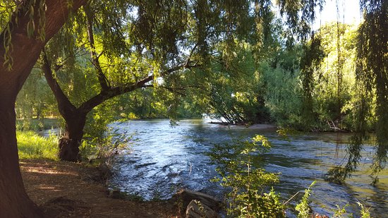 Tumut Town Run