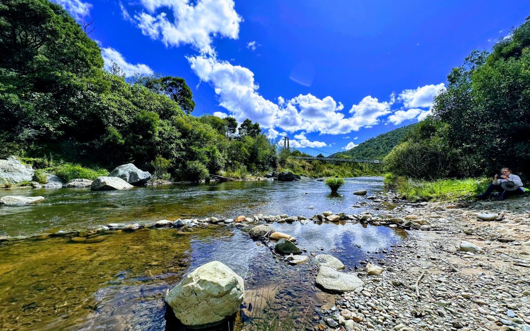 Hume & Hovell – Thomas Boyd trackhead to Log Bridge